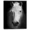 Designart - White Horse Black and White - Animal Canvas Art Print
